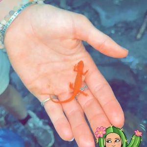 Meet your Posher, Anya